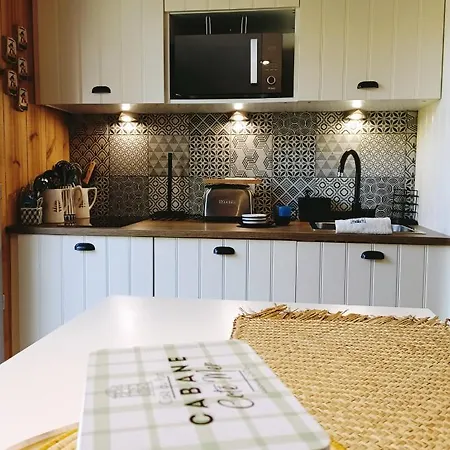 Hébergement de vacances En Bois Cosy Avec à 600m, Entre Océan Et Dune Du Pilat Sur Propriété Privée Sanguinet
