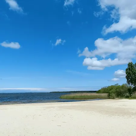 Maison De 2 Plages A 600m Proche Dune Du Pilat Ocean Dans Propriete Privee Holiday home