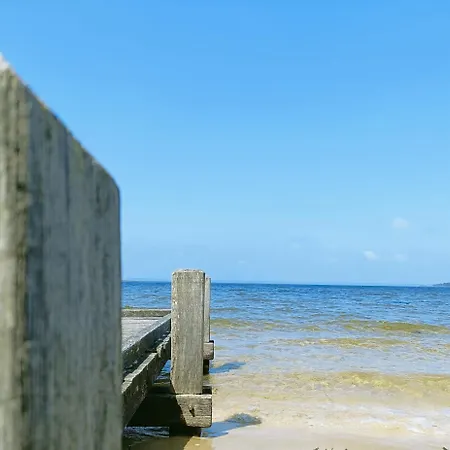 En Bois Cosy Avec à 600m, Entre Océan Et Dune Du Pilat Sur Propriété Privée *