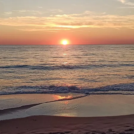 Hébergement de vacances En Bois Cosy Avec à 600m, Entre Océan Et Dune Du Pilat Sur Propriété Privée *