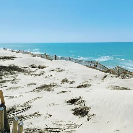 Hébergement de vacances En Bois Cosy Avec à 600m, Entre Océan Et Dune Du Pilat Sur Propriété Privée *