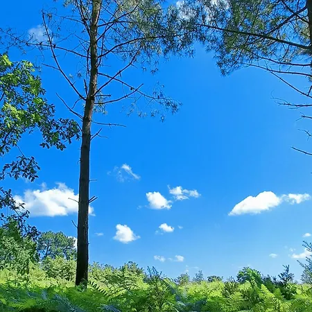 Maison De 2 Plages A 600m Proche Dune Du Pilat Ocean Dans Propriete Privee Hébergement de vacances
