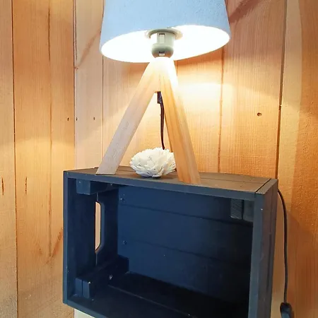 Hébergement de vacances En Bois Cosy Avec à 600m, Entre Océan Et Dune Du Pilat Sur Propriété Privée Sanguinet