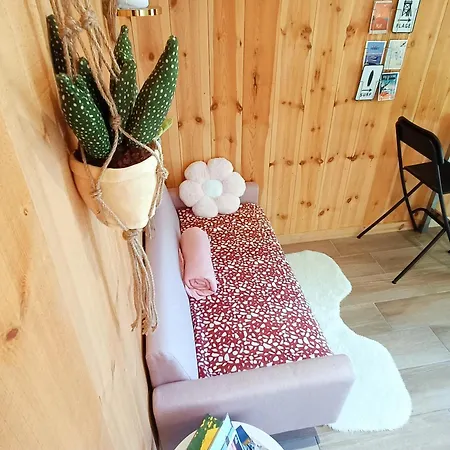 En Bois Cosy Avec à 600m, Entre Océan Et Dune Du Pilat Sur Propriété Privée * Sanguinet